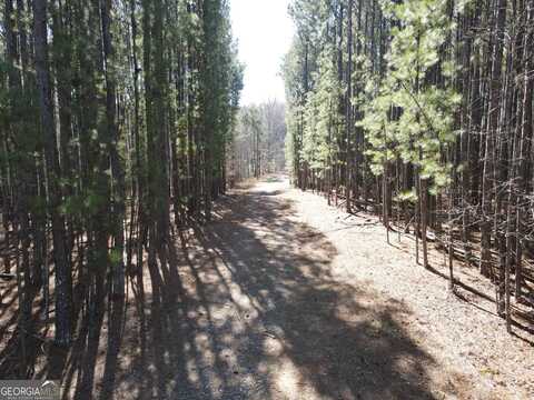 1430 Cleveland Farms, Locust Grove, GA 30248
