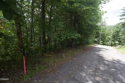 Lot 007b Shagbark Hickory Ridge, Sevierville, TN 37862