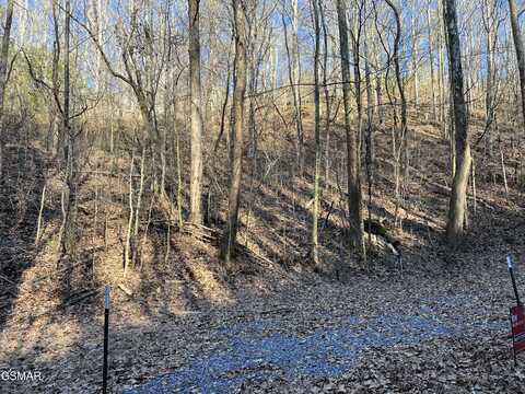 Indian Gap Road lot: 1, Sevierville, TN 37876