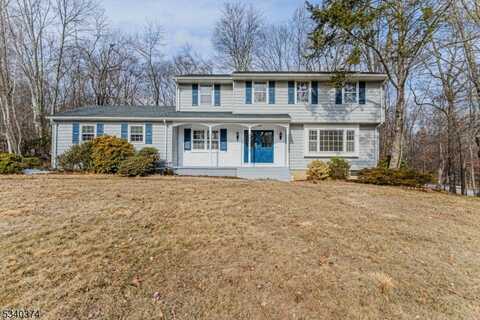 1269 Sherlin Dr, Bridgewater, NJ 08807