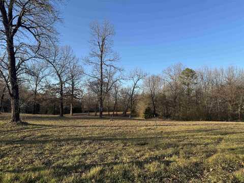 TBD CR 2910, Pittsburg, TX 75686