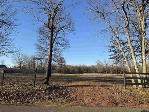 TBD CR 2910, Pittsburg, TX 75686