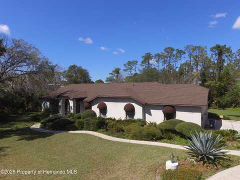 10355 Woodland Waters Boulevard, Weeki Wachee, FL 34613