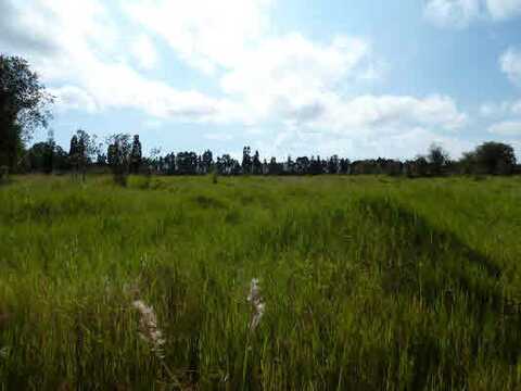 VOLCANO HWY, MOUNTAIN VIEW, HI 96785