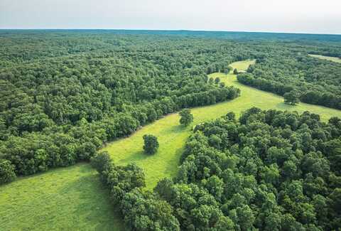 TBD Burley Ridge Rd, Cook Station, MO 65449