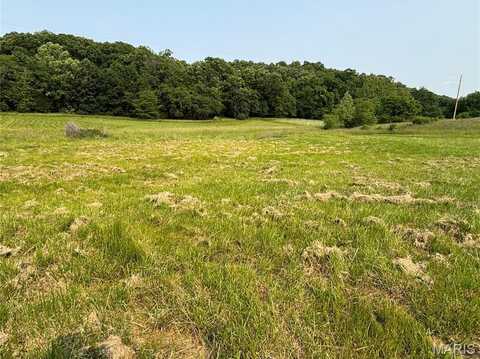 240 Big Creek Valley Drive, Troy, MO 63379