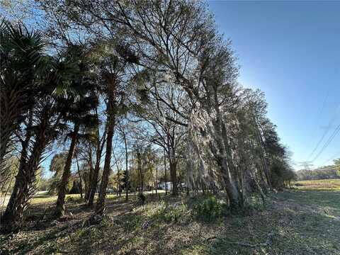 Tbd NE 151 LANE, FORT MC COY, FL 32134