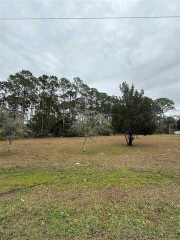 245 ULLIAN TRAIL, PALM COAST, FL 32164