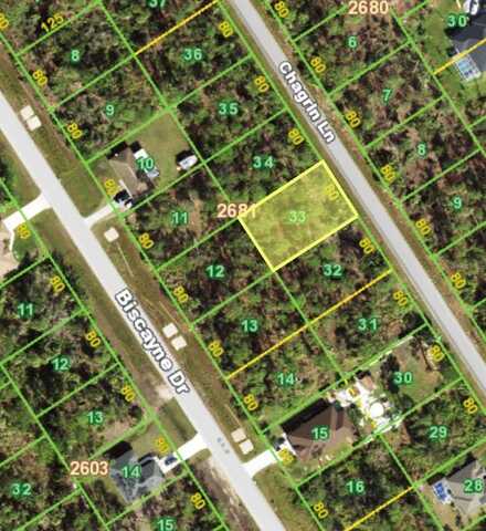 1197 CHAGRIN LANE, PORT CHARLOTTE, FL 33953