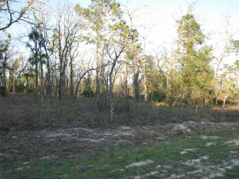 Lot 18 SW 62ND STREET, OCALA, FL 34481