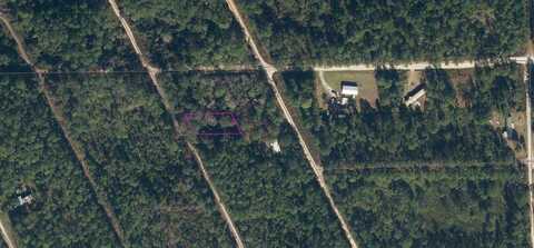 204 COOT ROAD, SATSUMA, FL 32189