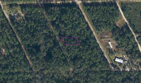 310 HERON ROAD, SATSUMA, FL 32189