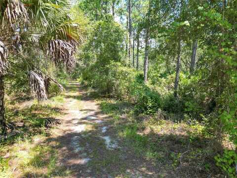 313 TALL PINE TRAIL, SATSUMA, FL 32189