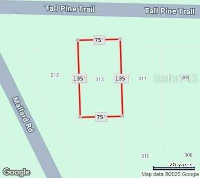 313 TALL PINE TRAIL, SATSUMA, FL 32189