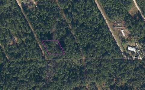 314 HAWKNEST ROAD, SATSUMA, FL 32189