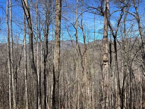 Lot 15 Bear Trail, Roaring Rdg, HIAWASSEE, GA 30546