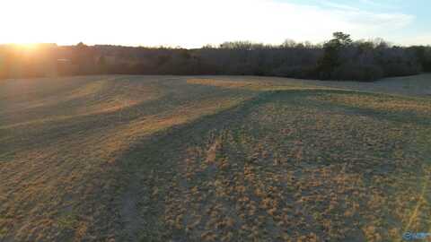 4.51 Ester Road, Grant, AL 35747