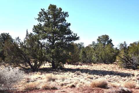 6206 Lasso Loop, Williams, AZ 86046