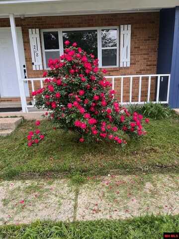 218 CORNELL STREET, Gassville, AR 72635