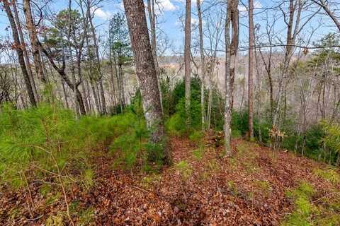 undefined, Ellijay, GA 30540