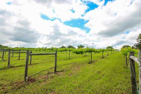 Tbd County Road 2178, Troup, TX 75789