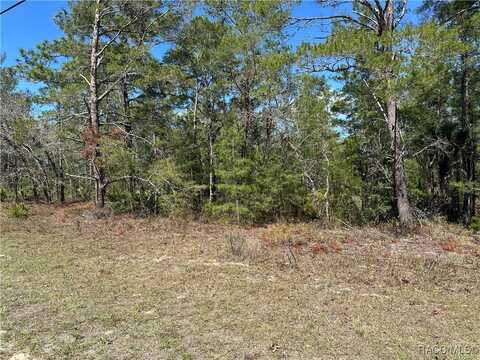 5557 W Oak Park Boulevard, Homosassa, FL 34446