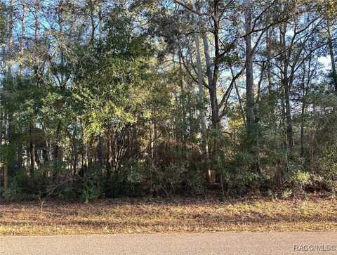 24 W Norwood Place, Citrus Springs, FL 34434