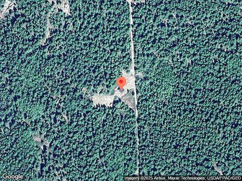 Wild Turkey, REPUBLIC, WA 99166