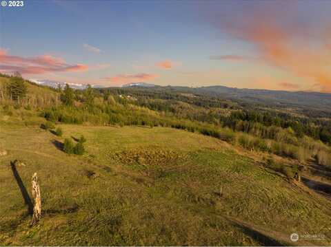 Ne Alvas Road, Battle Ground, WA 98604