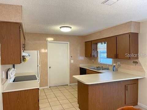 County Road 173, WILDWOOD, FL 34785