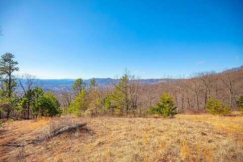 Acre Spring Pond Trl, Fancy Gap, VA 24328