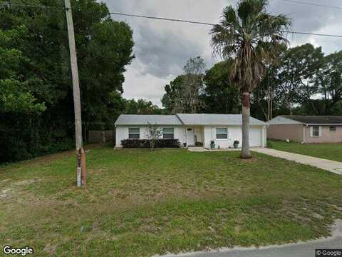 Tangelo, ORANGE CITY, FL 32763