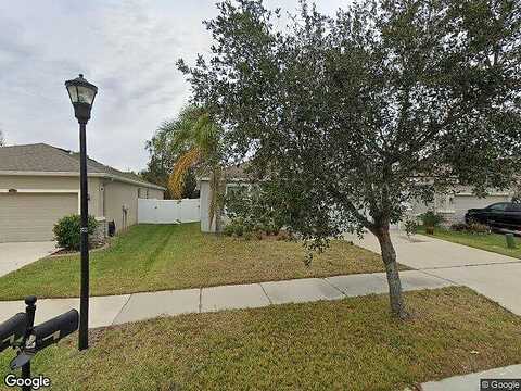 Scenic Hollow, RIVERVIEW, FL 33578