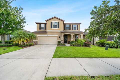 Mountain Magnolia, RIVERVIEW, FL 33578