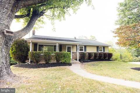 Lindy, SEVEN VALLEYS, PA 17360