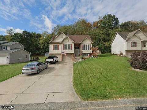 Paulownia, LEECHBURG, PA 15656