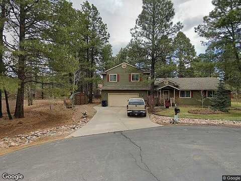 Bison, PINETOP, AZ 85935