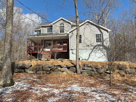 Owl, BUSHKILL, PA 18324