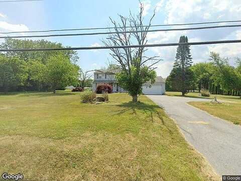 Chestnut Tree, HONEY BROOK, PA 19344