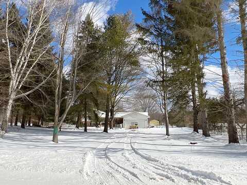 Cedar Lake, PINCKNEY, MI 48169