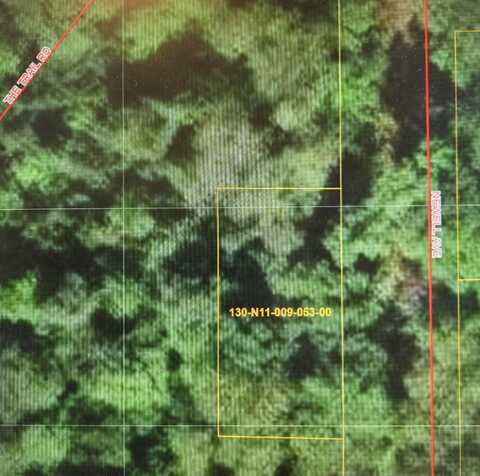 Lot 53 Newell Avenue, Topinabee, MI 49791