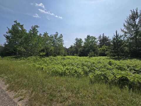 Northridge Drive lot: #82, Mancelona, MI 49659