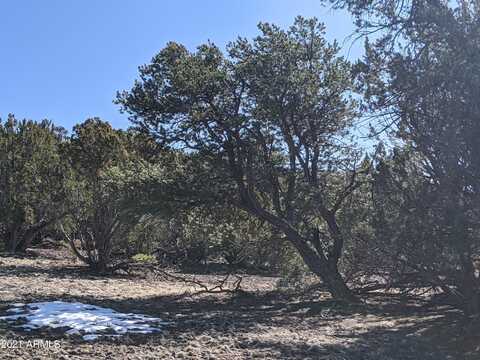 Lot 61 Stanford --, Vernon, AZ 85940