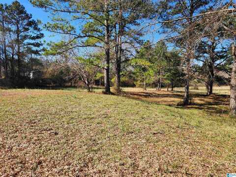 29 SELF ROAD, ANNISTON, AL 36201