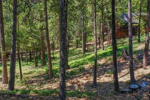 2690 Cheyenne Way, Arnold, CA 95223