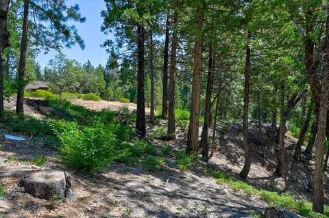 2690 Cheyenne Way, Arnold, CA 95223