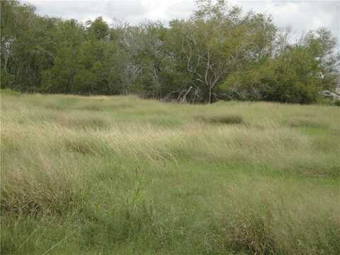 Vogelsang Lane, Dinero, TX 78383