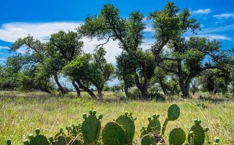 Lot 4 Old Harper Rd, Fredericksburg, TX 78624