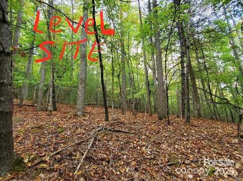 Hickory Wood Trail unit: 20,21, Hendersonville, NC 28739
