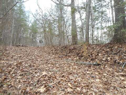 Kinsland Road, Franklin, NC 28734